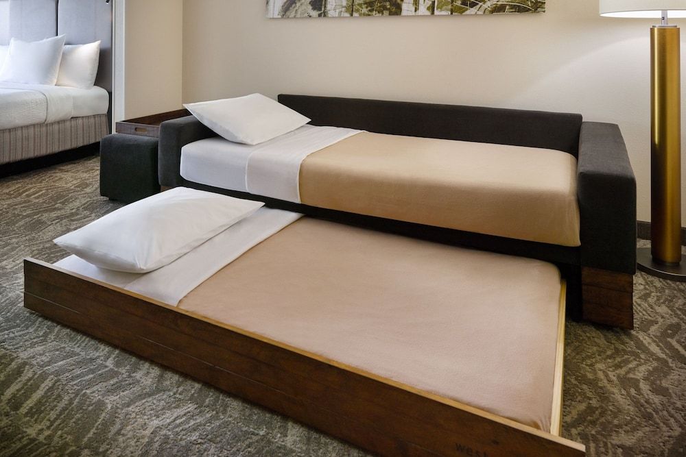 SpringHill Suites by Marriott Raleigh-Durham Airport/Research Triangle Park