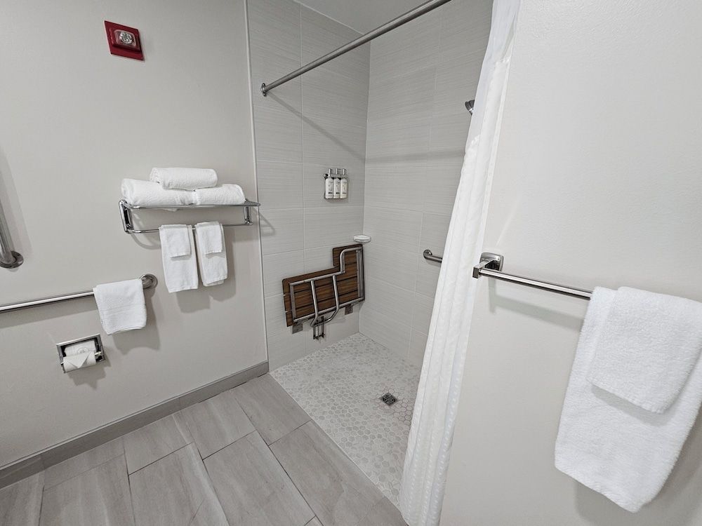 Standard Room, 1 King Bed, Accessible (Roll-In Shower)