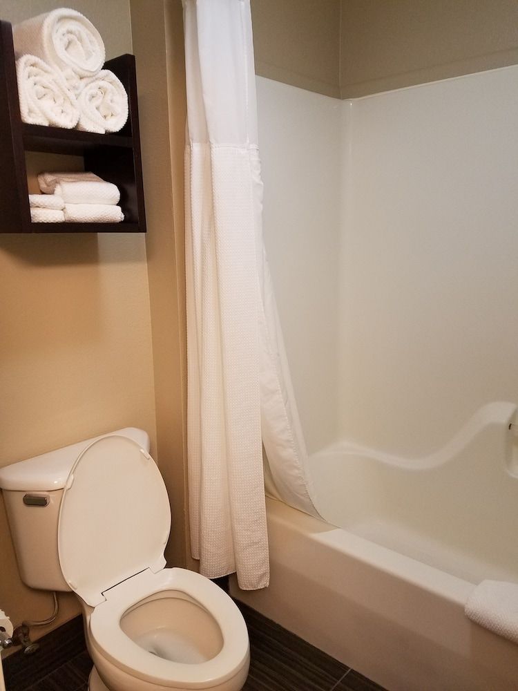 Studio Suite, 1 King Bed