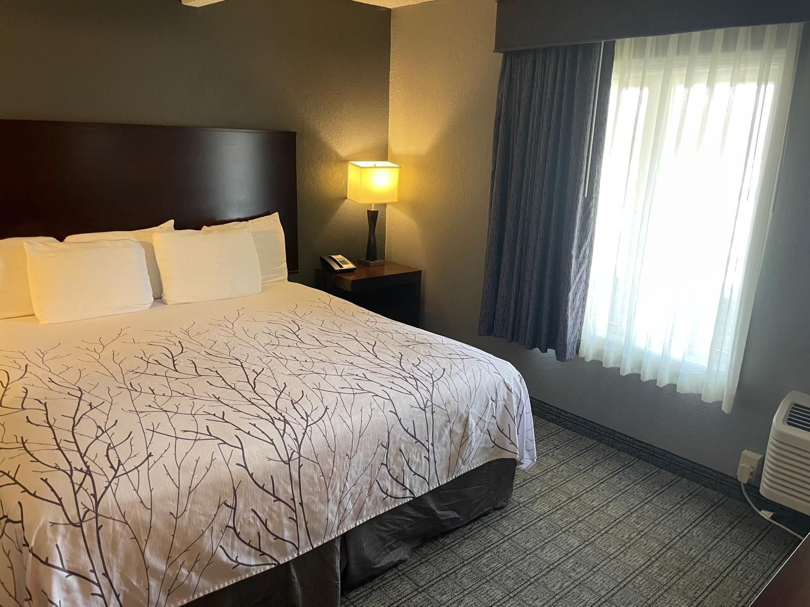 Eastlake Suites Hotel & Conference Center By OYO Urbana King Bed Suite