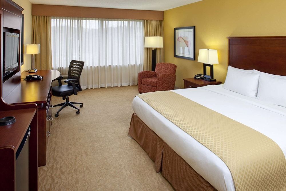 Suite, 1 King Bed with Sofa bed