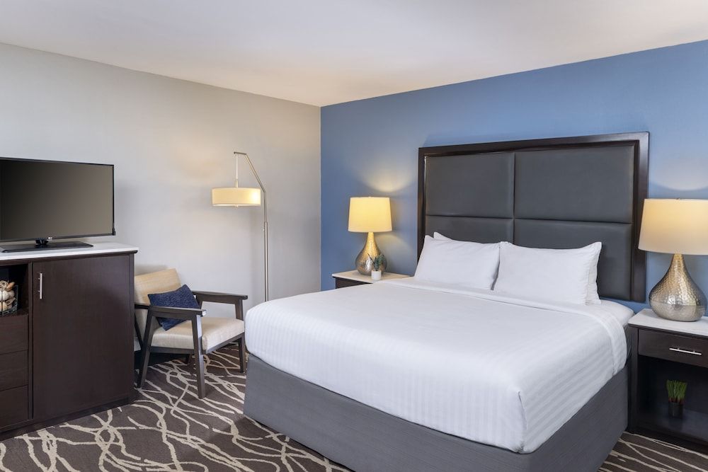 Room, 1 King Bed, Accessible (CLASSIC ADA KING)