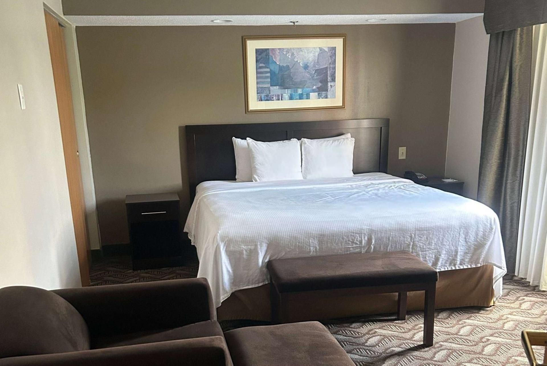 One-Bedroom King Suite - Non-Smoking