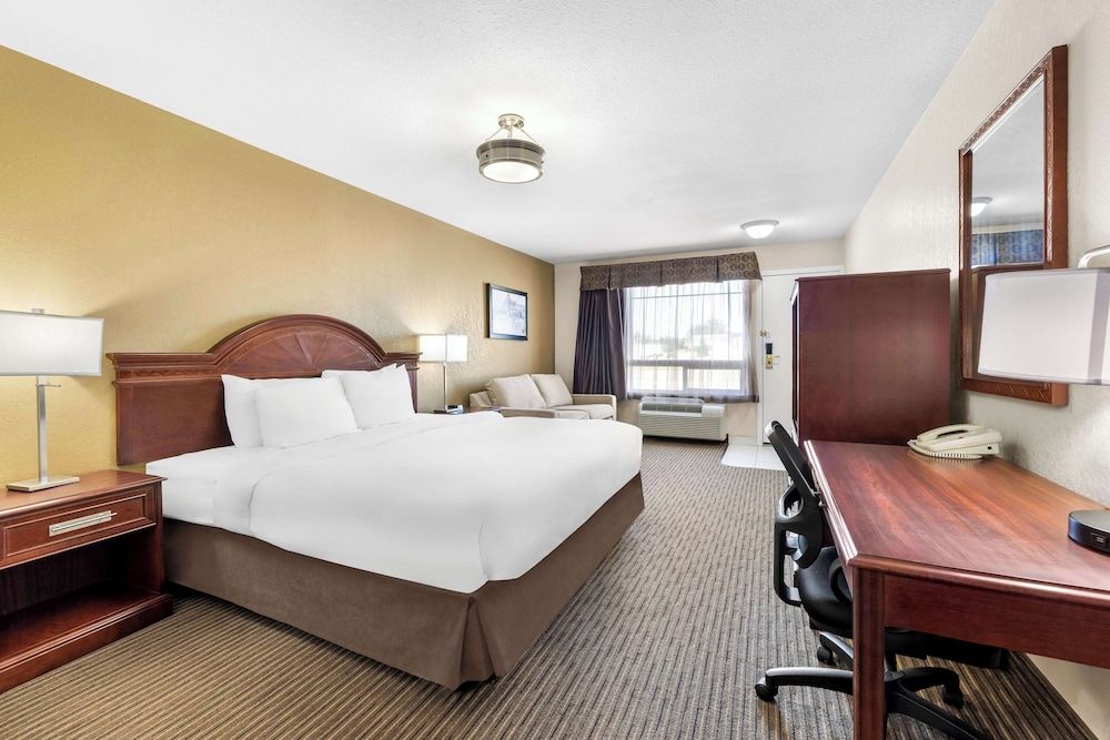Standard Room, 1 King Bed, Accessible, Non Smoking (Walk-in Shower;with Sofabed)