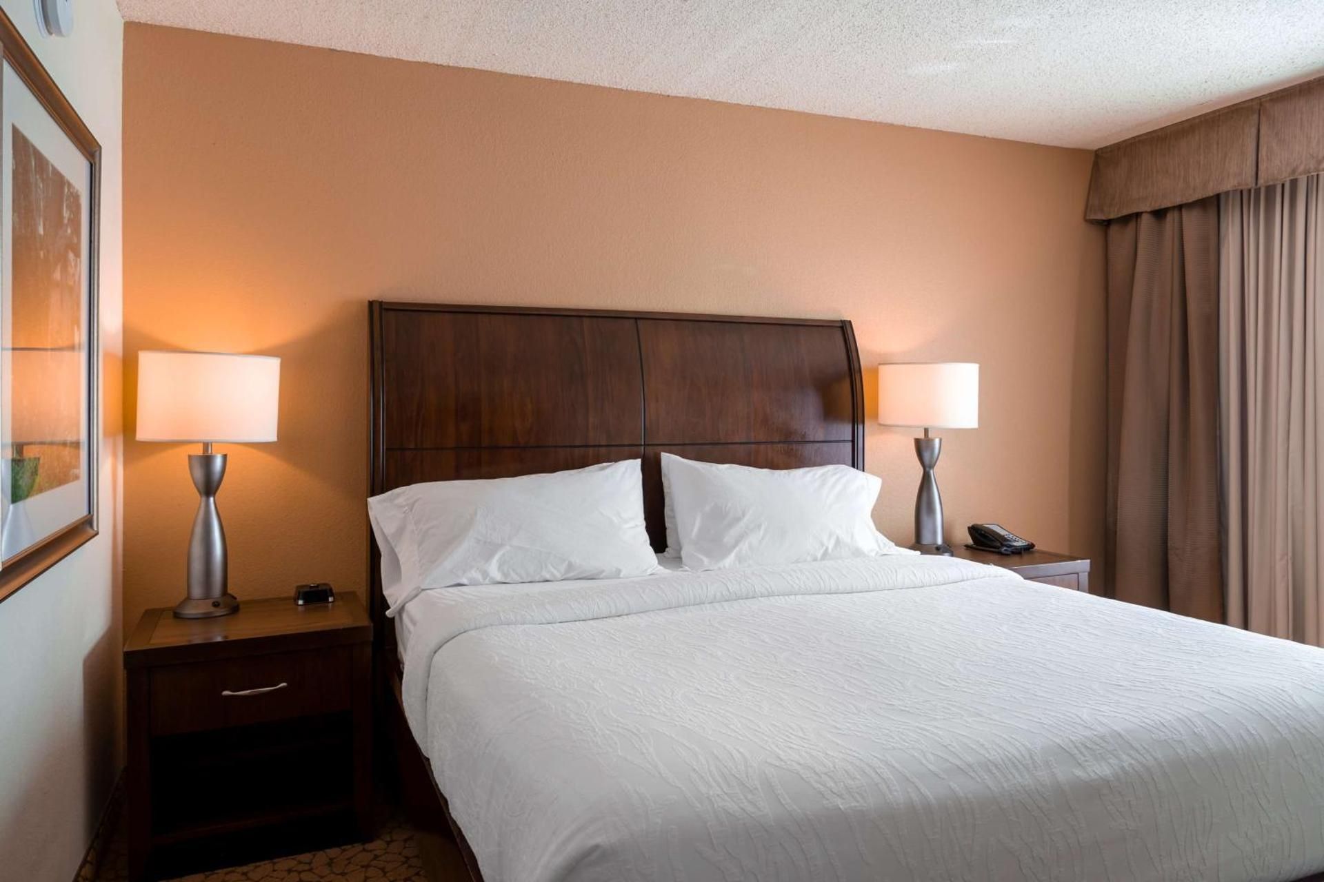 Hilton Garden Inn Orlando East/UCF Area 1 King Bed  2