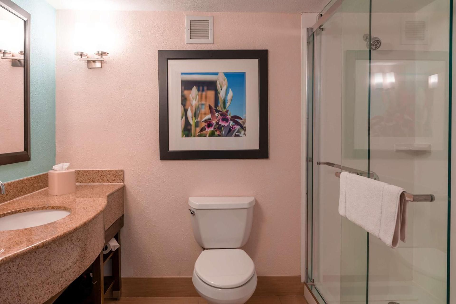 Hilton Garden Inn Orlando East/UCF Area 1 King Bed  3