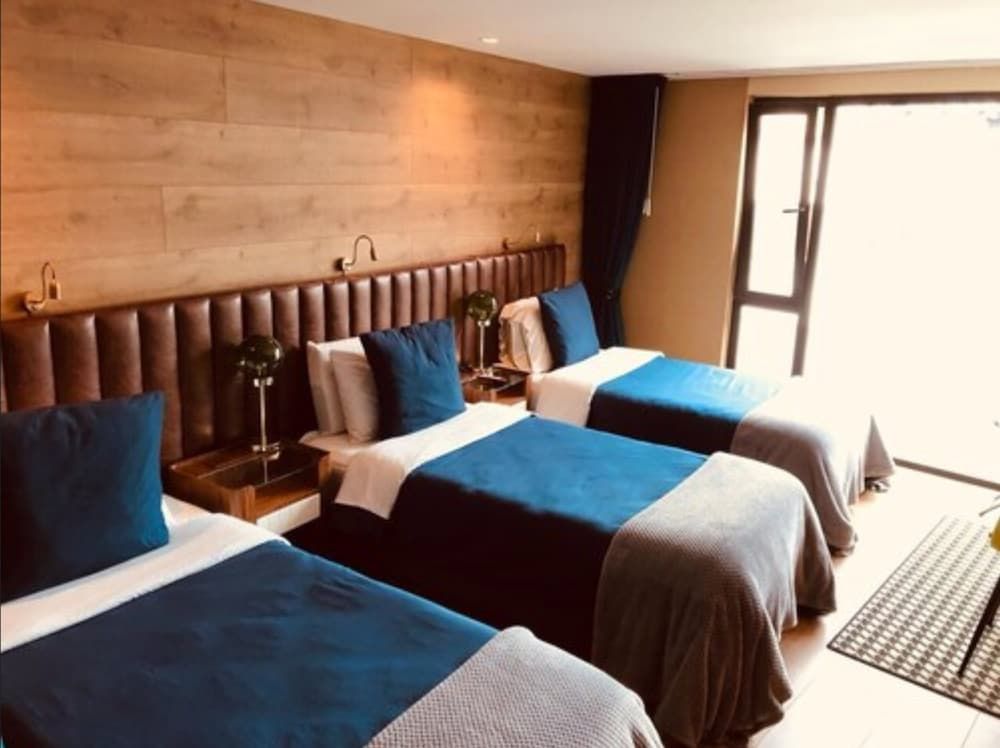 undefined Viajero Bogota Hostel & Spa 3