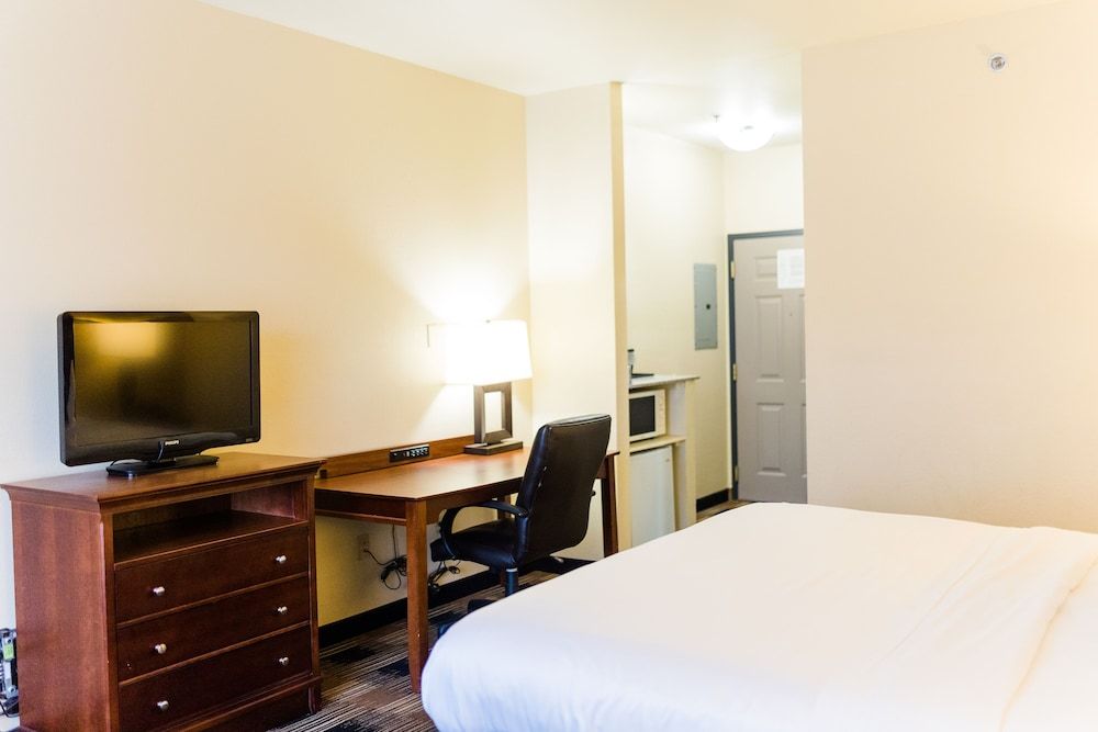 Room, 1 King Bed, Non Smoking, Fireplace