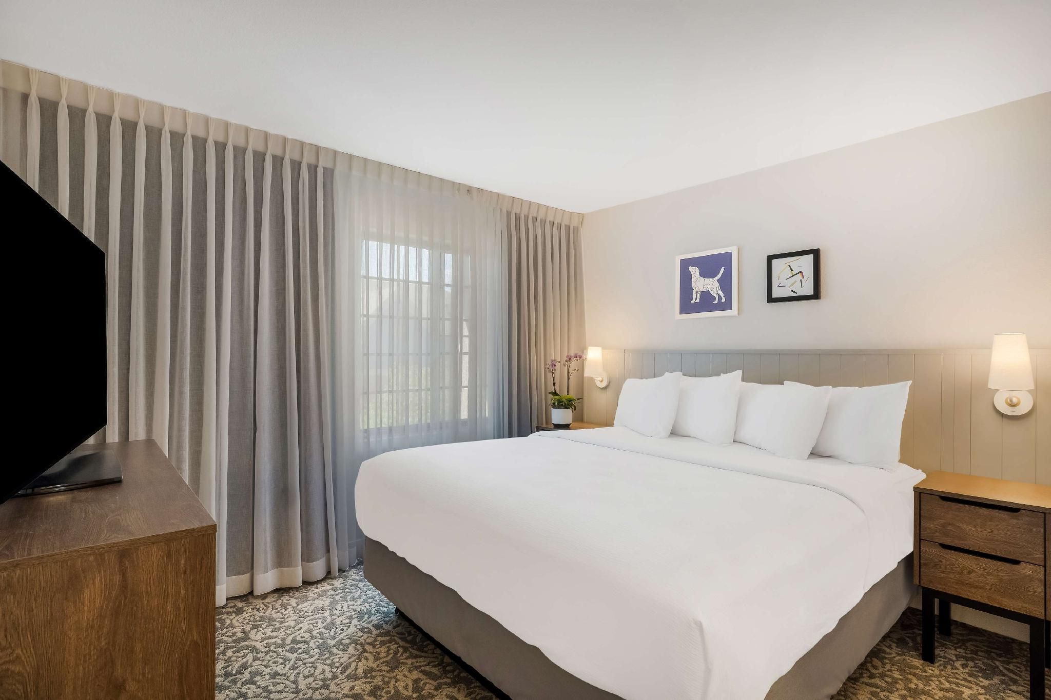 One Bedroom Suite King