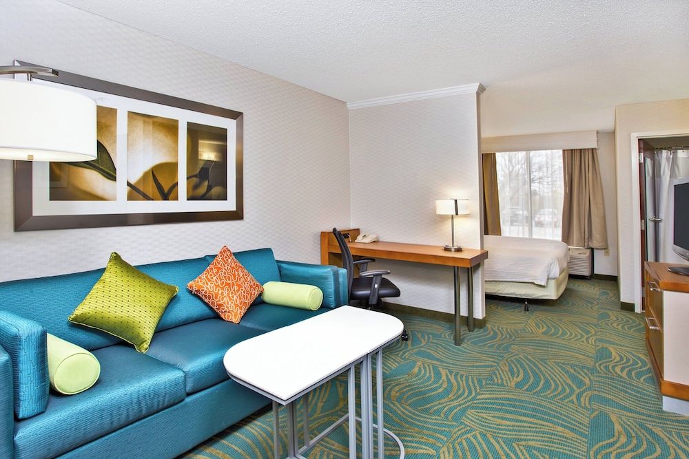 Executive Suite, 1 King Bed with Sofa bed