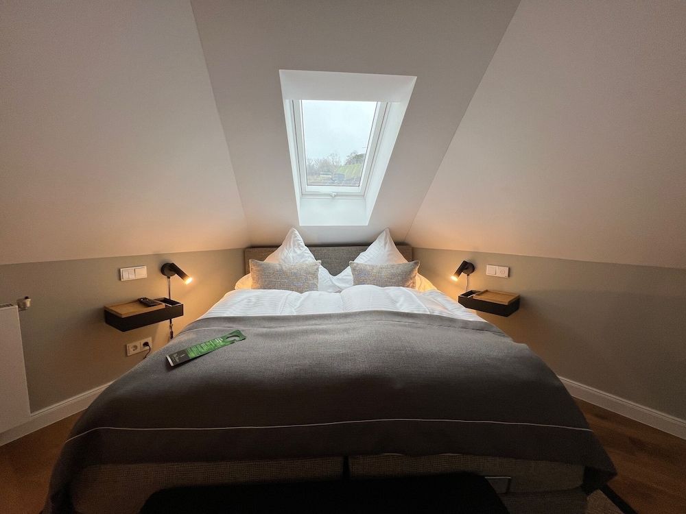 Junior Studio Suite, 1 Queen Bed, Non Smoking, Mountain View