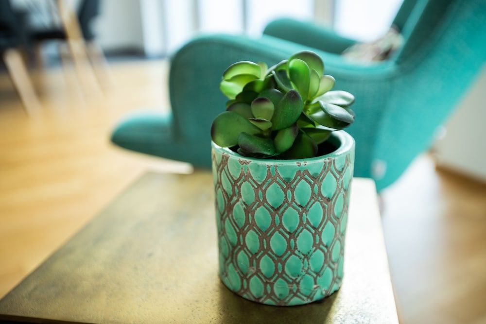 Ferienwohnung Pfänder Deluxe Apartment 18