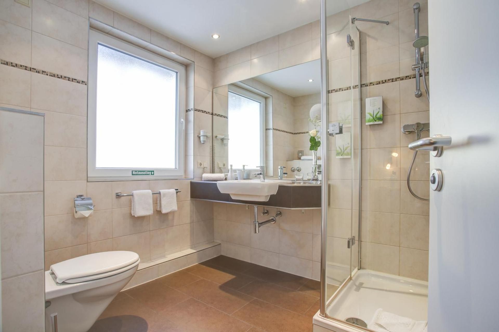 Rhein Neckar Hotel Mannheim Single Room 4