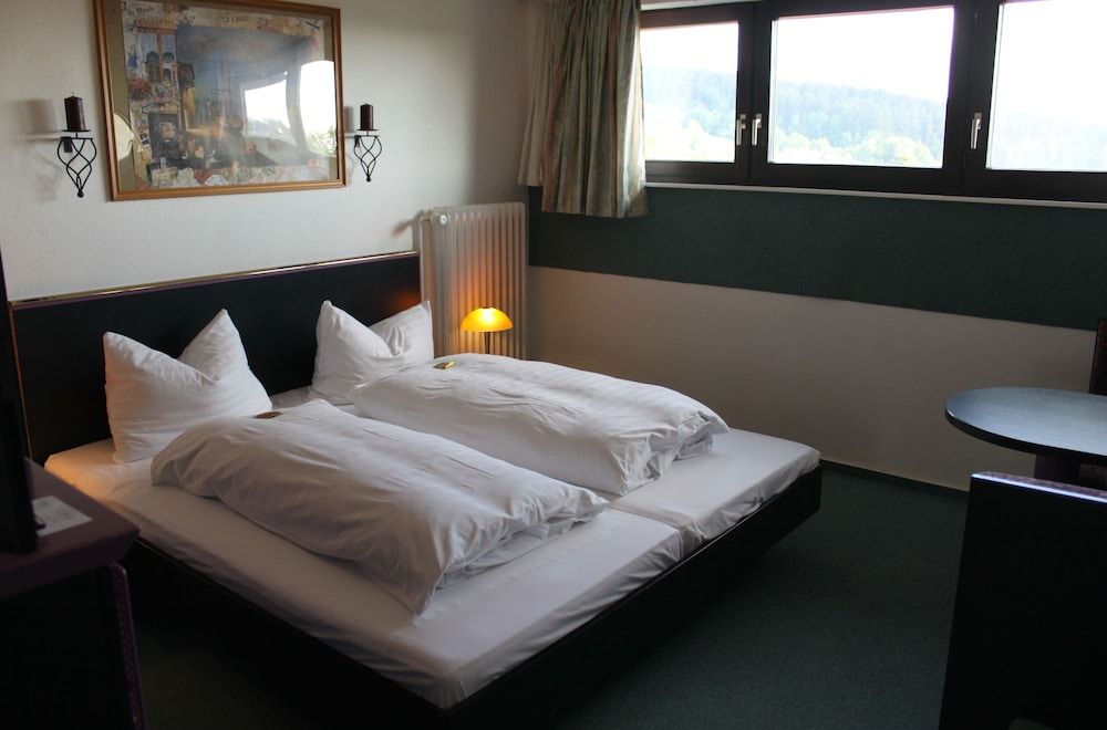 Hotel Vitalesca Basic Double Room, 1 King Bed 3