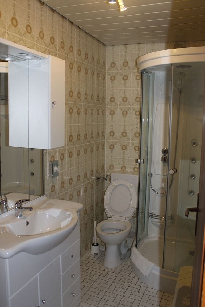 Hotel Vitalesca Basic Double Room, 1 King Bed 5