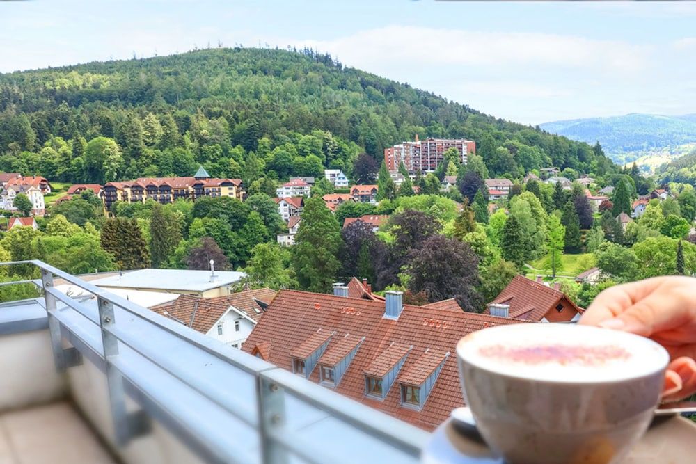 Schwarzwald Panorama Apartment, Balcony 3