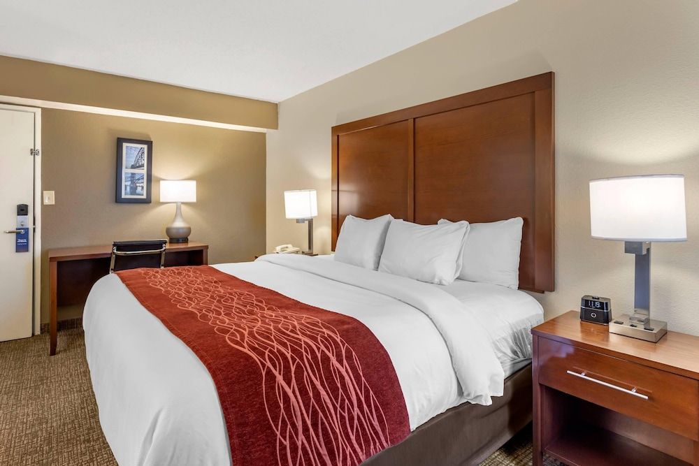 Junior Suite, 1 King Bed, Non Smoking