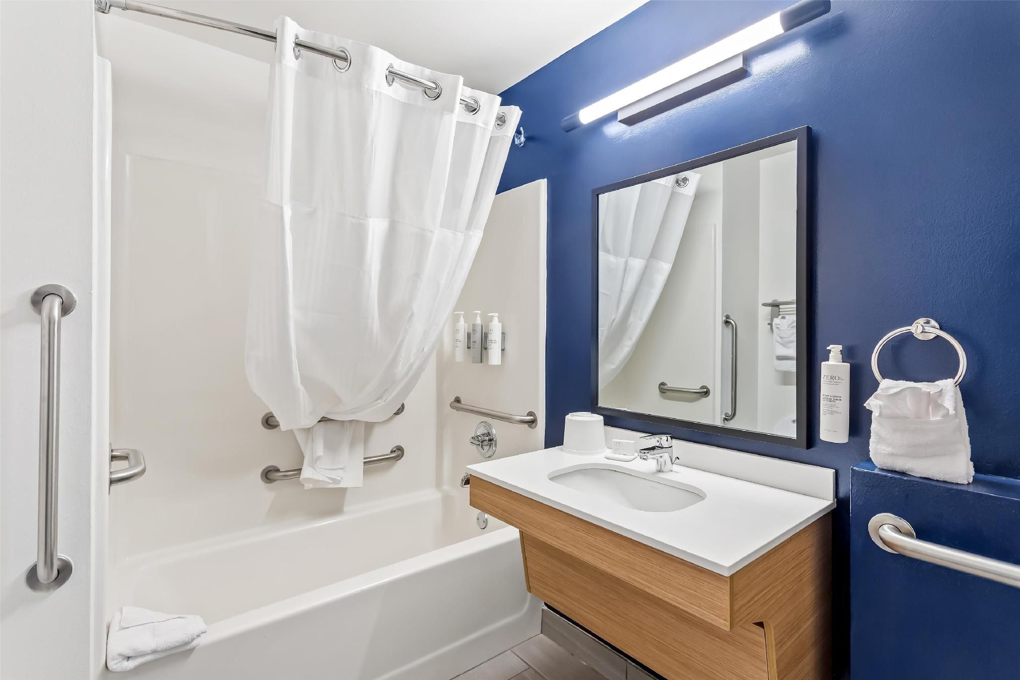 1 King Mobility Accessible Bathtub W/sofabed