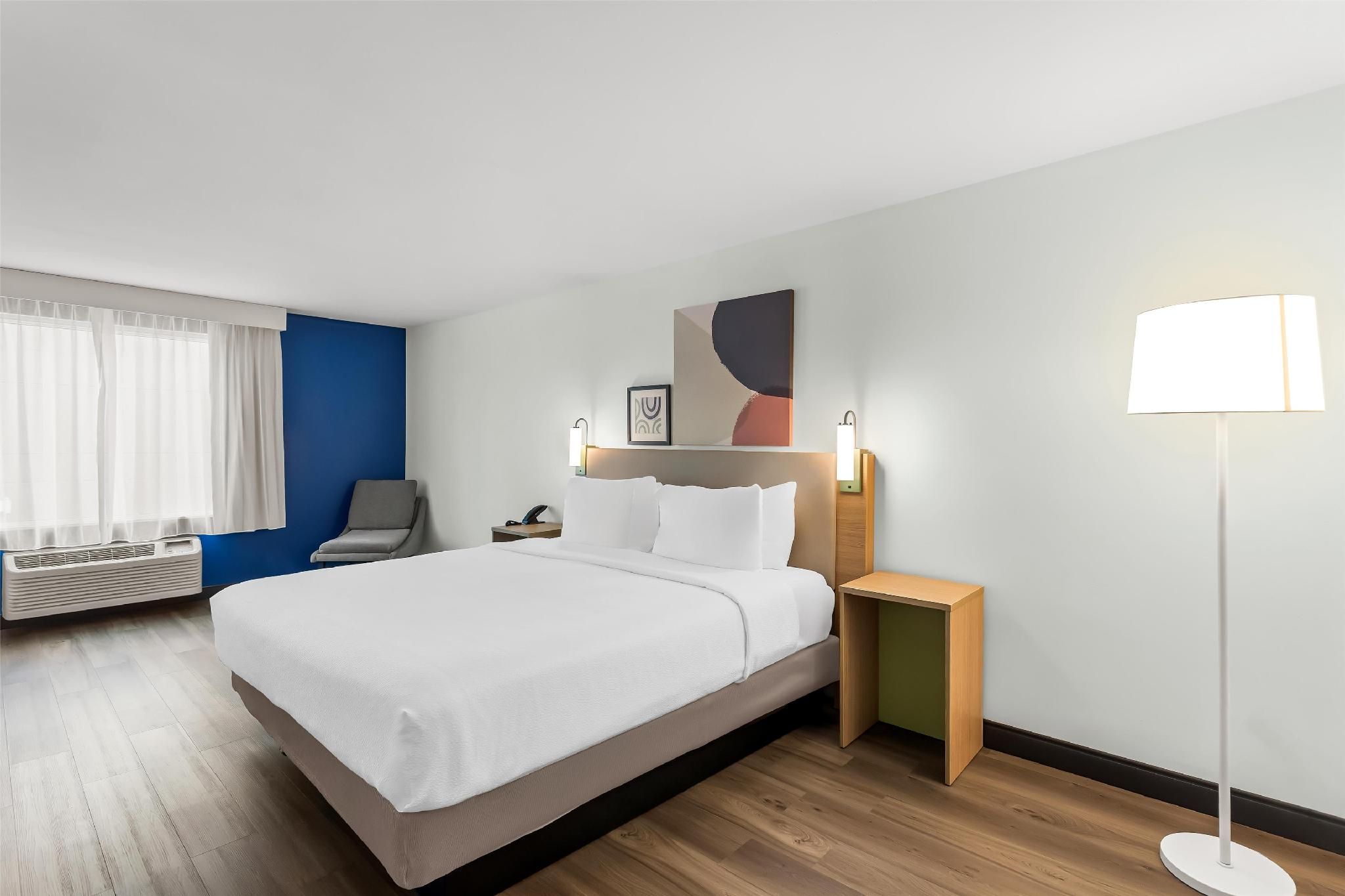 1 King Bed
