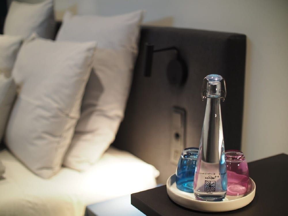 sander Hotel King Room 5