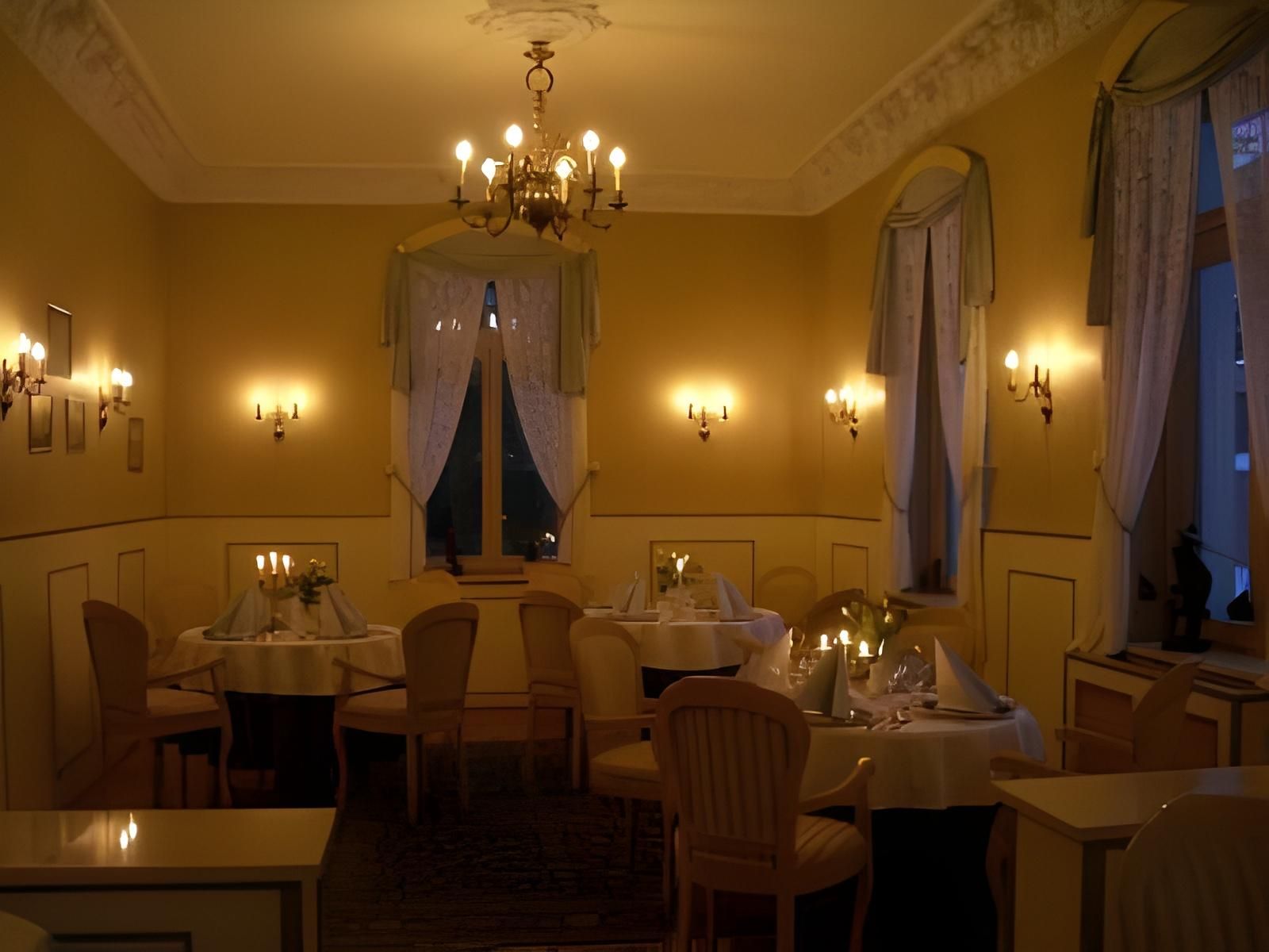 undefined Hotel Villa Herzog 7