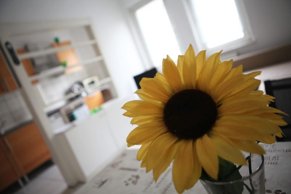 White House Bochum Ehrenfeld Apartment, 2 Bedrooms, City View (Dibergstraße 50) 7