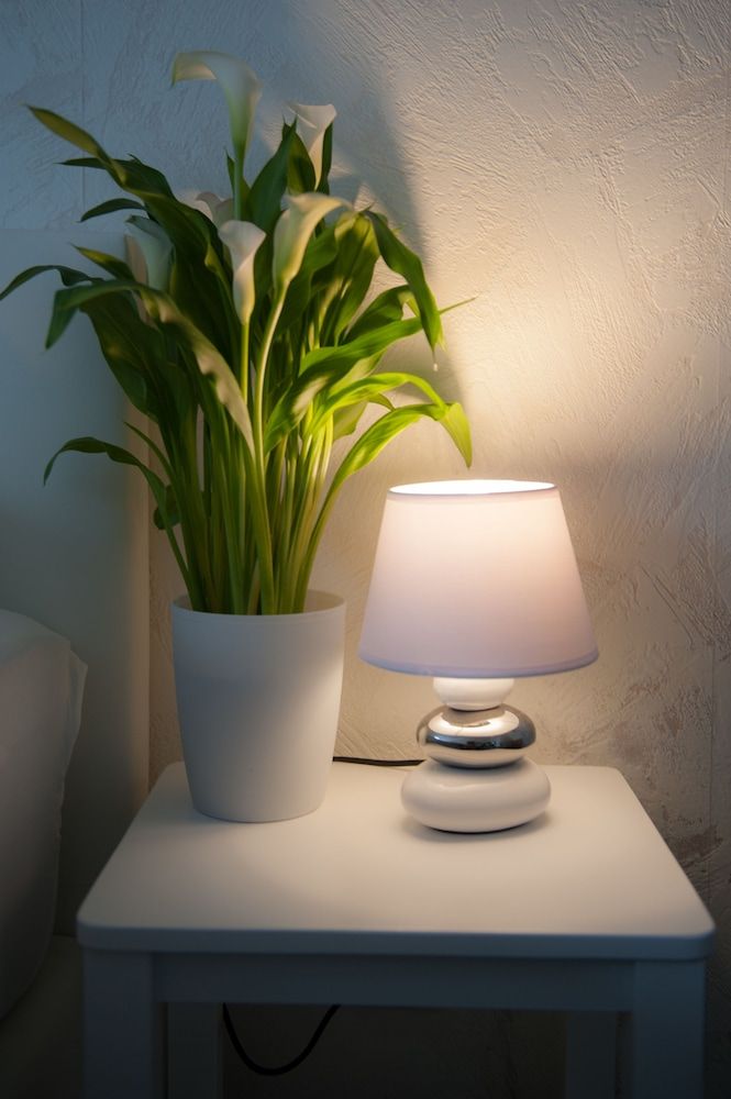 Hotel Forsthaus Sellin Superior Apartment, Multiple Beds, Refrigerator 4