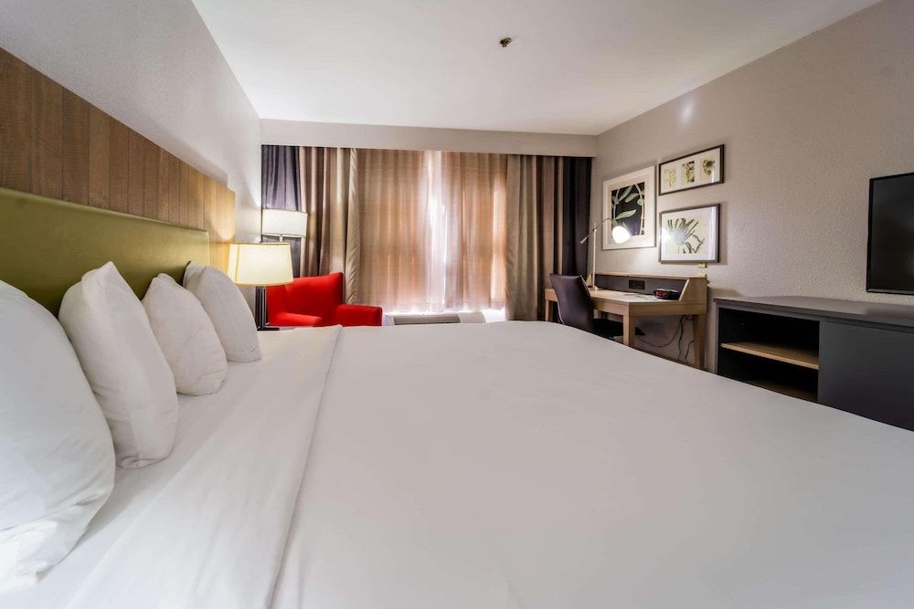 Room, 1 King Bed, Non Smoking