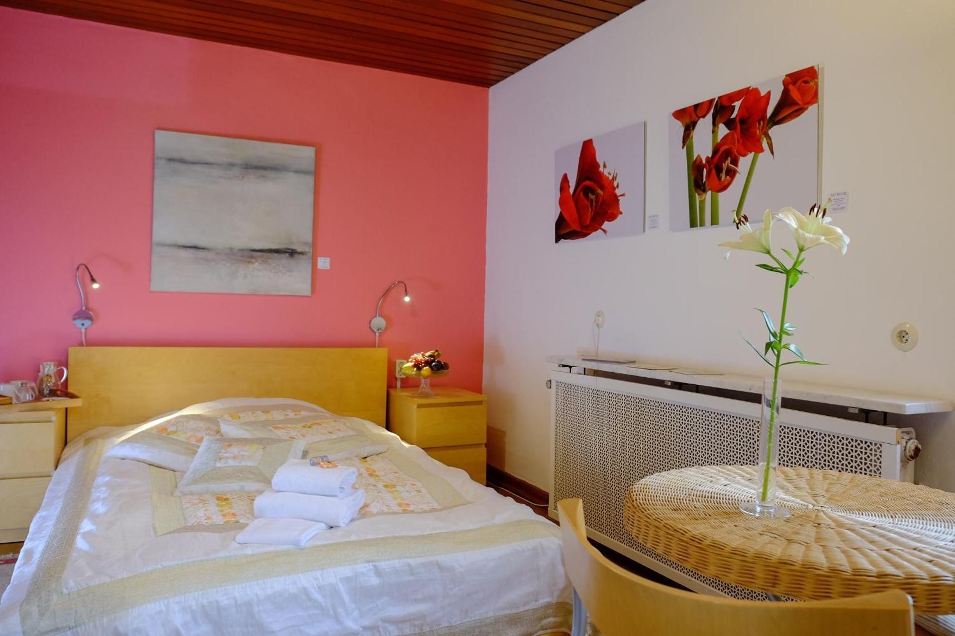 Rhein River Guesthouse - direkt am Rhein Classic Double Room