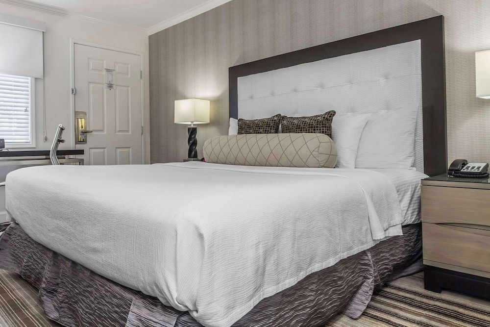 Standard Room, 1 King Bed, Non Smoking