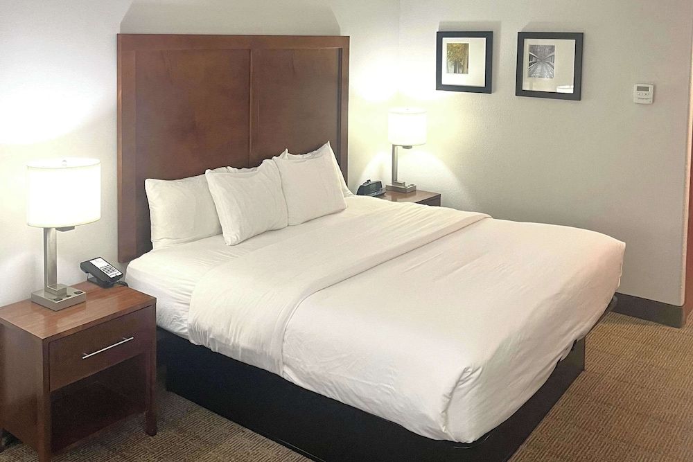 Standard Room, 1 King Bed, Non Smoking