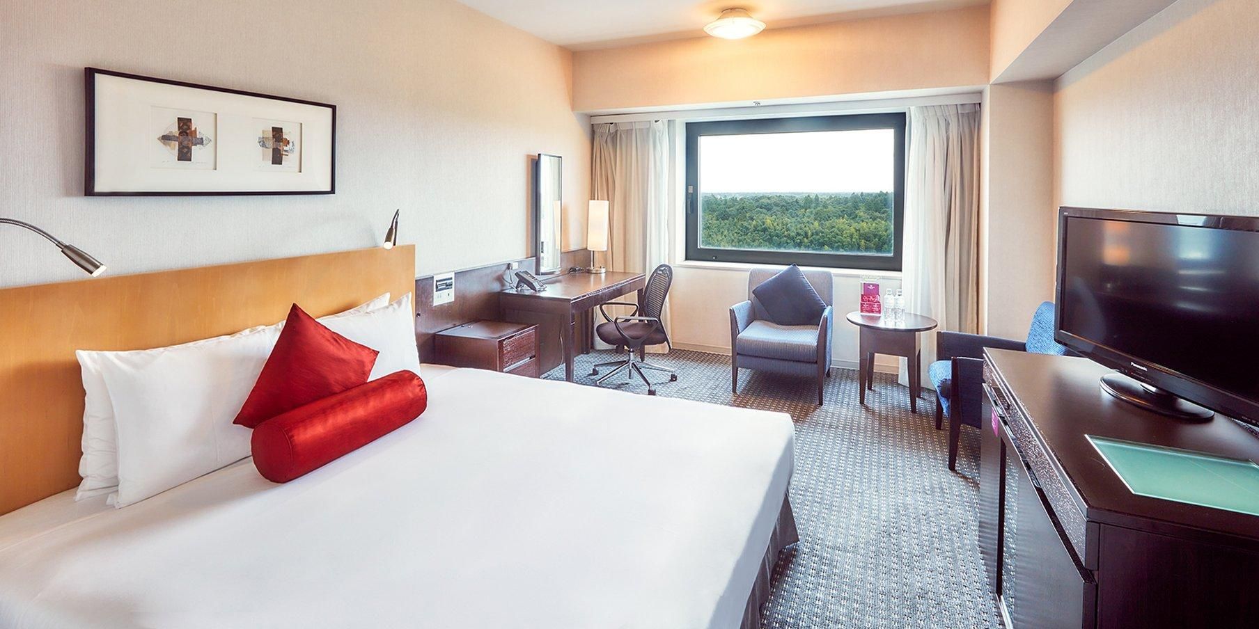 1 King Bed Standard Airport View