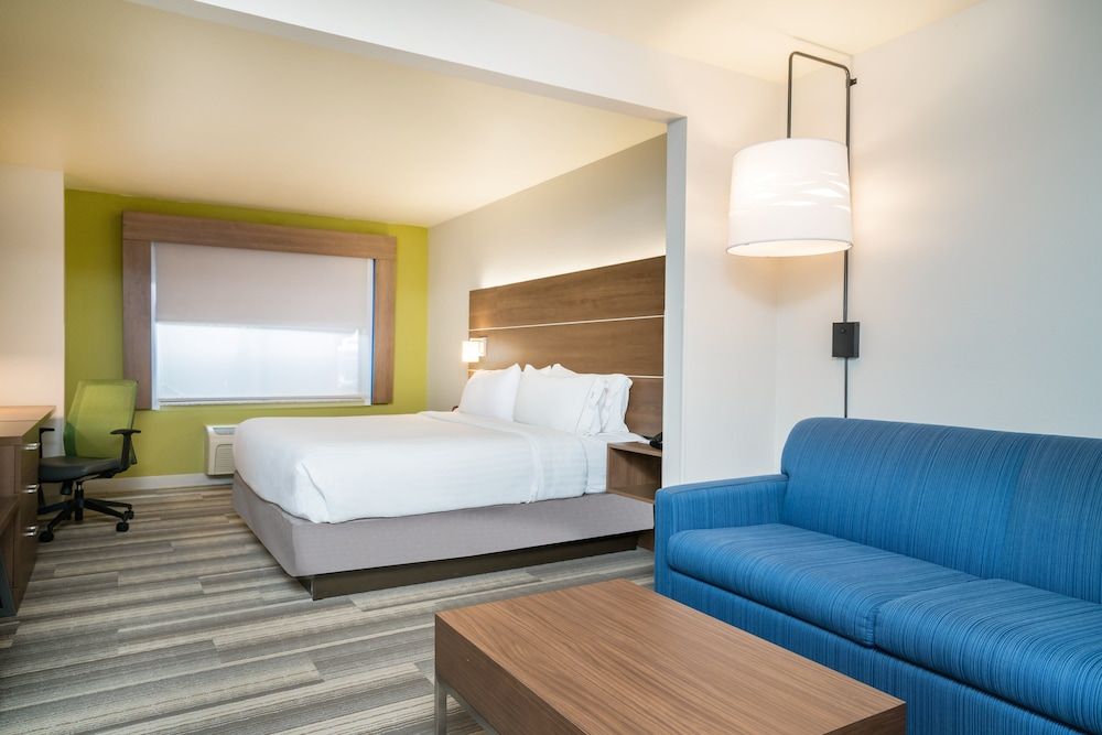 Suite, 1 King Bed with Sofa bed
