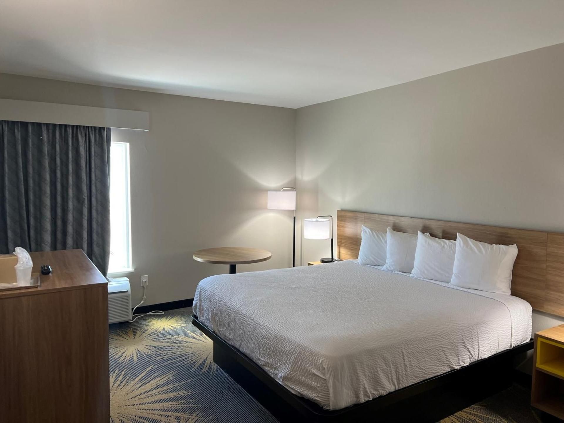 1 King Bed Non-Smoking