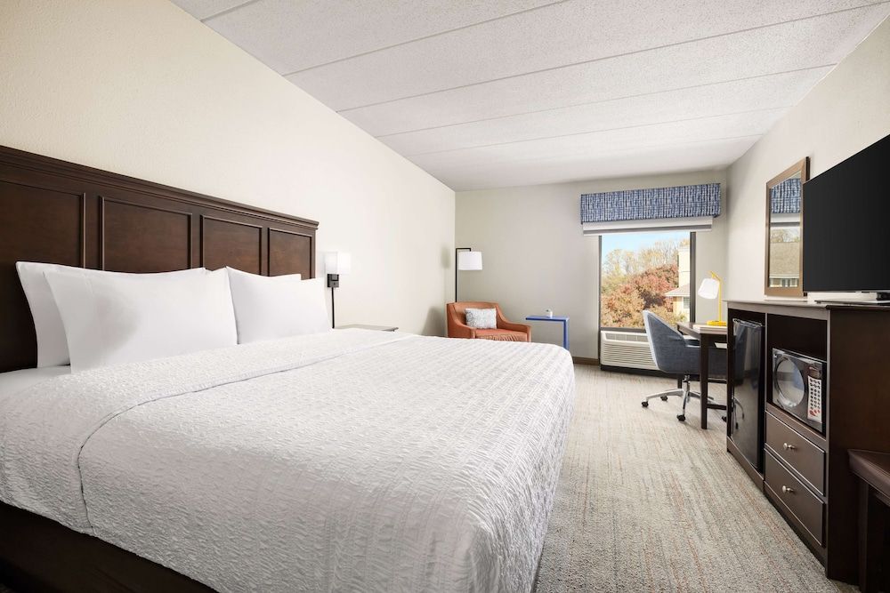 Room, 1 King Bed, Accessible (Roll In Shower)