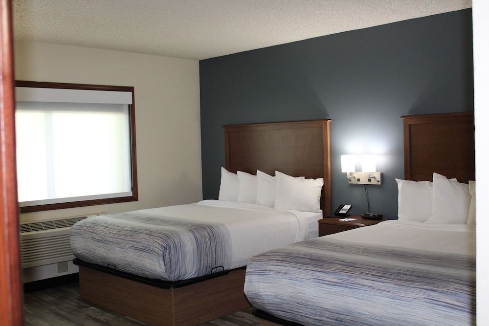 Executive Room, 2 Queen Beds, Non Smoking (Pet-friendly)