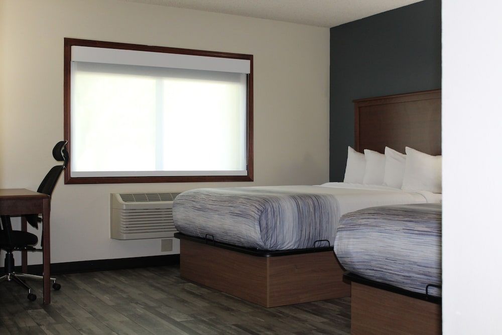 Executive Room, 2 Queen Beds, Non Smoking (Pet-friendly)