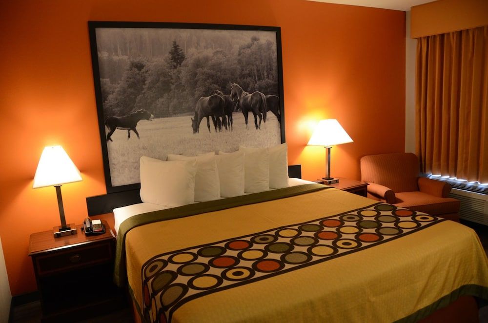 Room, 1 King Bed, Accessible, Non Smoking (Mobility Accessible)