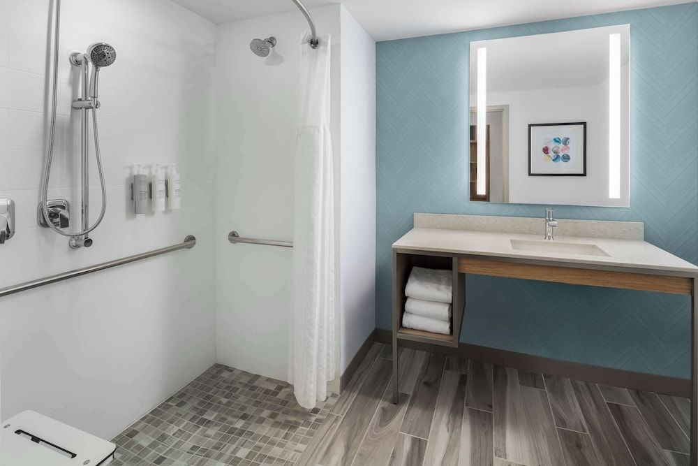 Room, 1 King Bed, Accessible (Roll-In Shower)