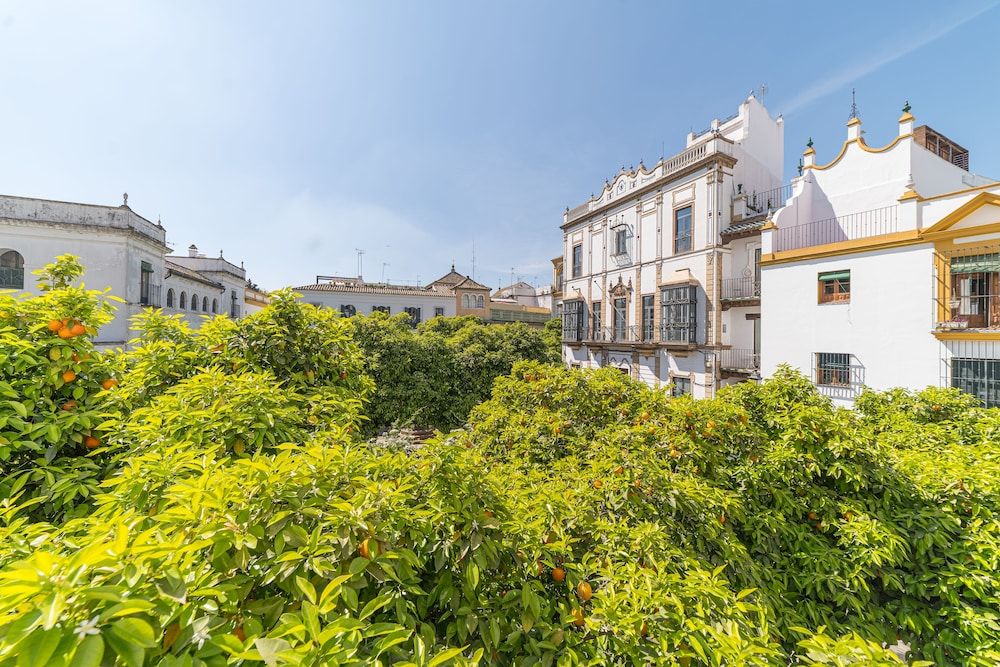 undefined Rey Don Pedro Luxury Home 7