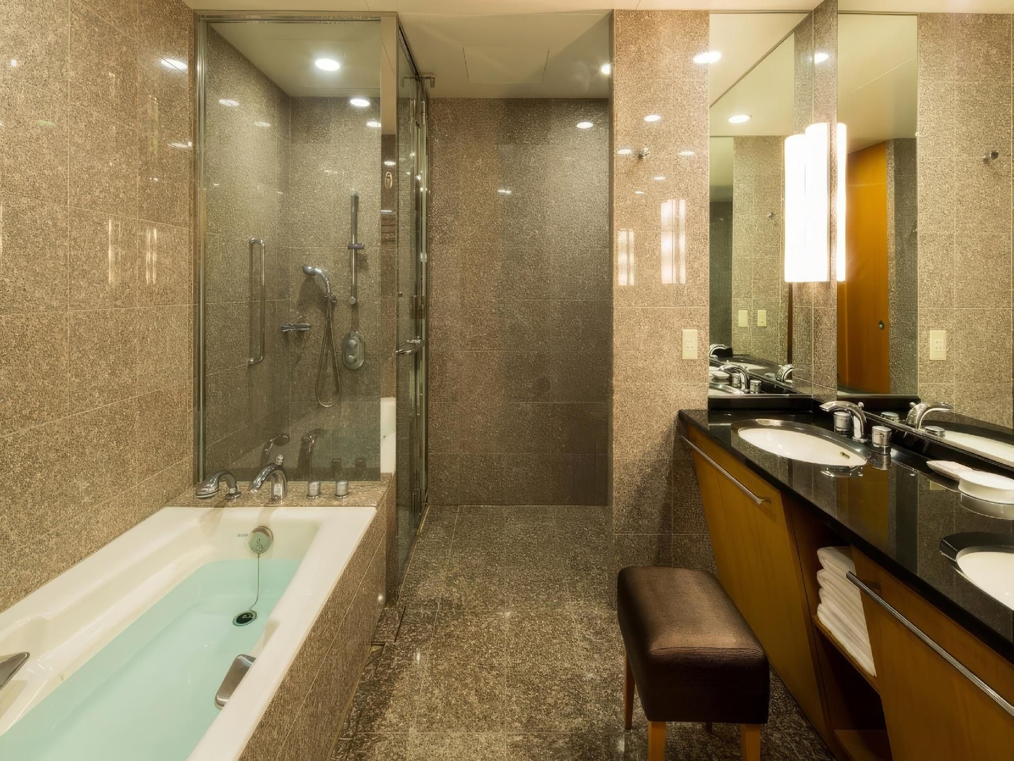 Junior Suite with Lounge Access - Non-Smoking