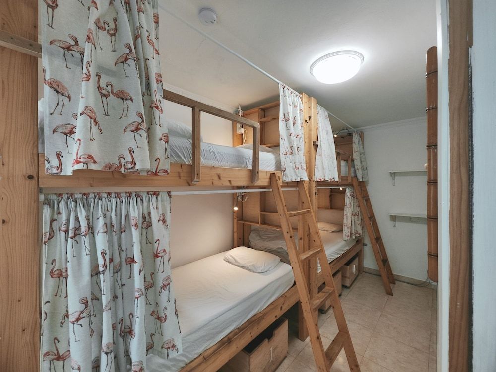 Mixed dorm 4 beds, shared bathroom