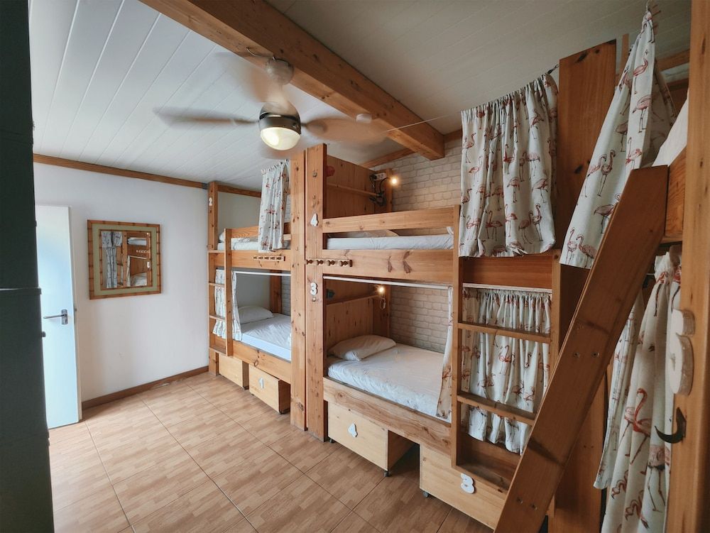 Superior Shared Dormitory, Mixed Dorm