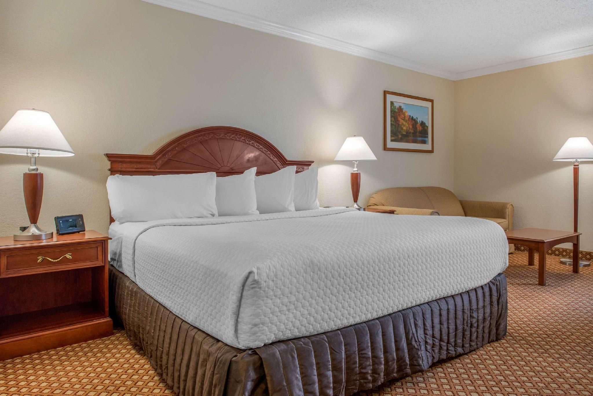 1 King Bed, Nonsmoking, Accessible