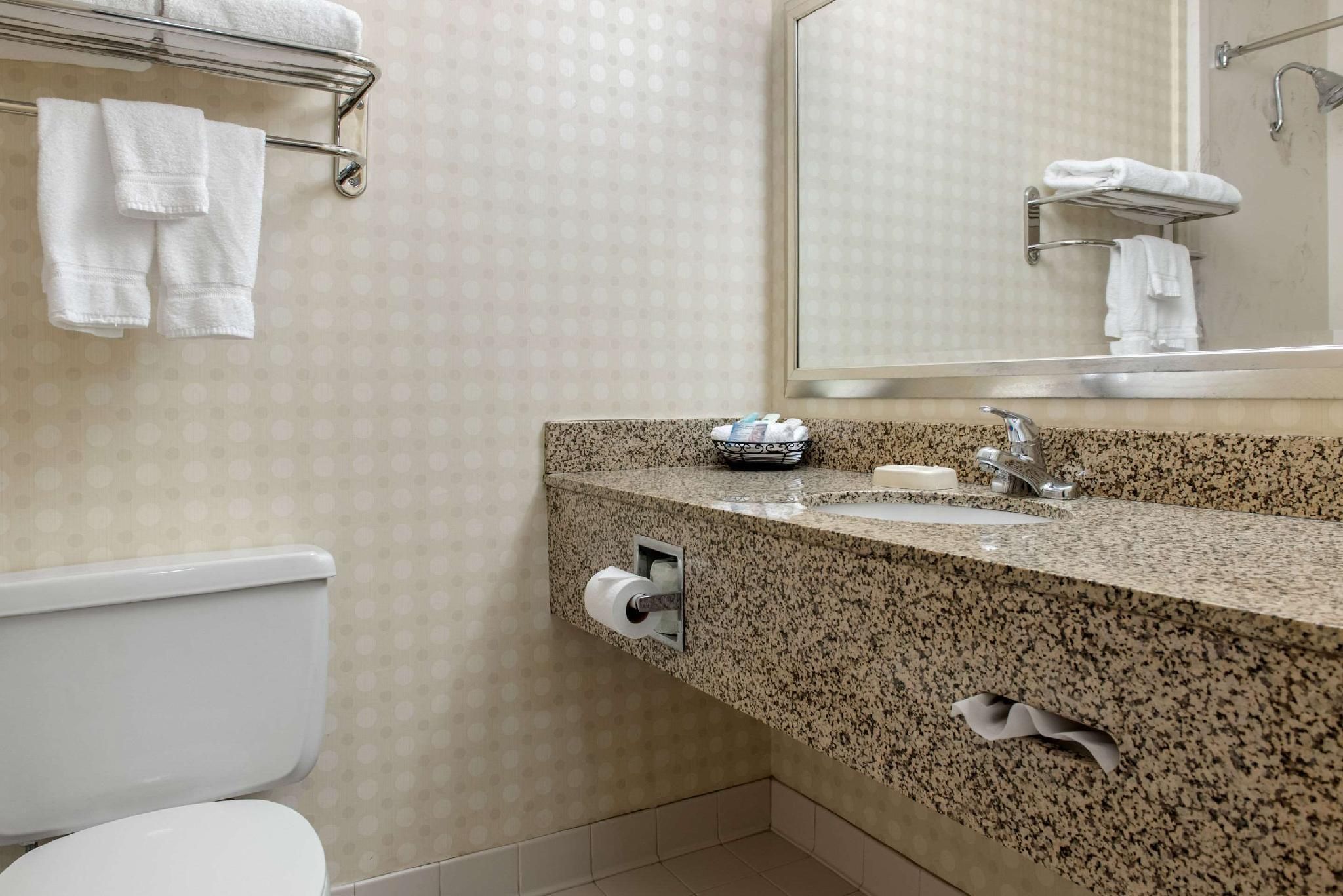 1 King Bed, Suite, Nonsmoking, Accessible