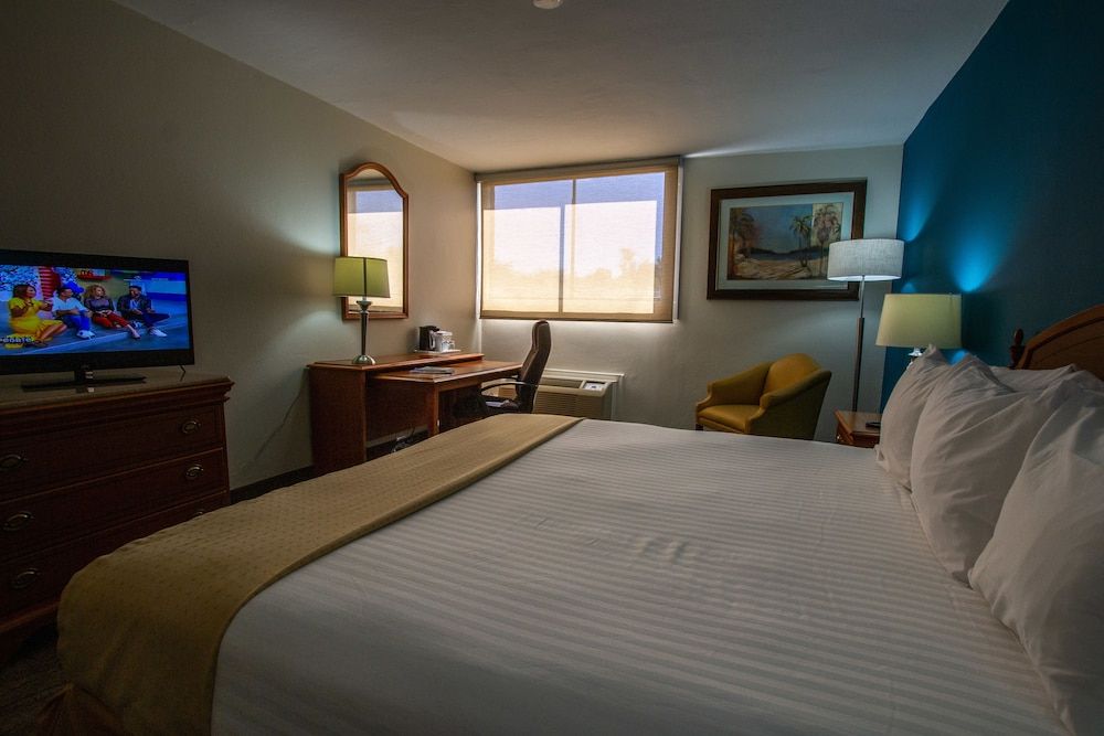 Deluxe Single Room, 1 King Bed, Pool View