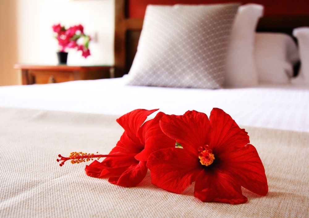Standard Double Room, 2 Twin Beds