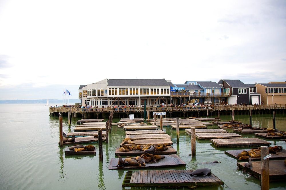 undefined InterContinental San Francisco by IHG 7