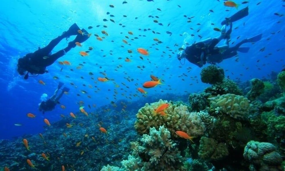 Water-based activities