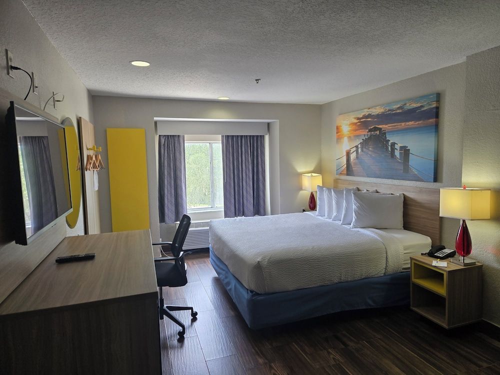 Room, 1 King Bed, Non Smoking